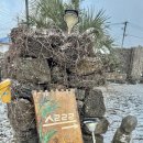 스르르르 | [제주] 스르르르 :: 구좌읍 평대리 감성숙소 내돈내산 추천후기 💙