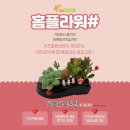 힐링키즈교육