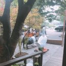 양지말농장 이미지