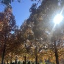 데미샘자연휴양림 | 가족·효도여행지 추천! 데미샘 자연휴양림, 11월 가을 단풍 힐링 솔직 리뷰 !