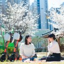 더미스튜디오 지디넷코리아
