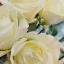 미스홀랜드
