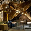 선사시대부터 고래바다가 통째로 '장생포 고래 박물관' 이미지