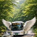 백담주차장 이미지