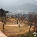 청해진 Daum카페