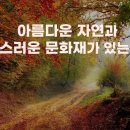 고향공인중개사사무소 이미지