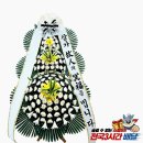 여우메디 이미지