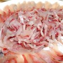 통영종합수산