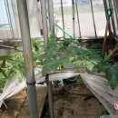 마한농장 이미지