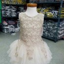 해오름 빛 이미지