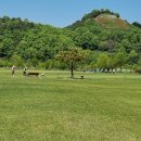 함평파크골프장 이미지