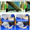 코끼리유통 이미지