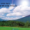 (주)피앤비 인터내셔널 이미지