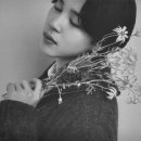 지민14 이미지