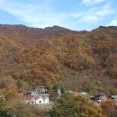 거제-장승-장승포-비상-03 | 지리산 피아골 단풍 산행