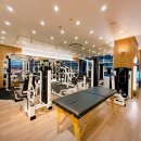 리바디핏 이미지