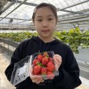 염소꿈농원 이미지