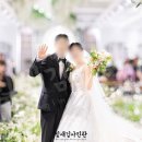 포레스트원 티스토리