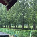 고삼농장 이미지