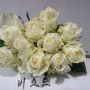 전혜숙농장 | 하나장미농장)장미농장 (금요일) 19일 발송안내