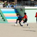 금정초등학교 이미지