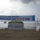 2009 8/1 부산 시장배 광안리 핀 수영 대회 이미지