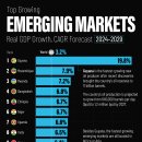 신흥시장 이미지