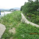 마성1리 이미지