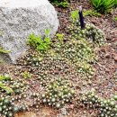 꽃향기 바다내음 이미지