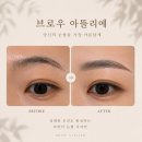 주흥길 51-1 | 강남 눈썹정리 왁싱 베네피트 출신 브로우바 아뜰리에 벨라 원장님 내돈내산 후기