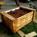 학현초등학교 이미지