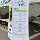 5월 하동야생차문화축제 다녀온 후기 🌱 (세계차 체험 부스, 음식부스, 보물찾기, 꿀팁 및 보성다향...
