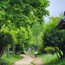 황토길 - 광산구 | 황토길