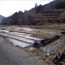 진전면101 이미지