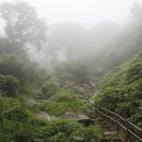 사자사지 이미지