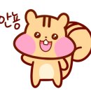 올레흑돈 정육점 네이버블로그