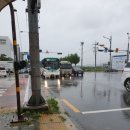 수원-1739 이미지