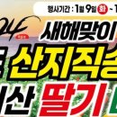 뉴센텀마트 이미지