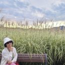 광사2천 이미지