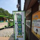 [경주여행] 공공서비스 이용으로 가볍게 경주 관광 체험(ft. 비단벌레차 & 신라대종 타종)