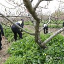 자인파출소 이미지