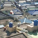 완월동243 이미지