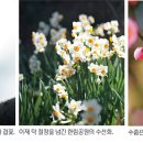 별마중 문화일보