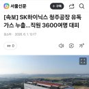 [속보] SK하이닉스 청주공장 유독가스 누출…직원 3600여명 대피 이미지