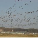 동림축산 이미지