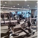 웰니스 지 이미지