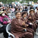 불기2567년 4월29일 부산 연등축제 이미지