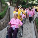 연송 Daum카페