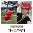 괴산고추축제 2025 다녀온 후기 주차 가수 괴산축제