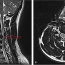 본정형외과병원 이미지